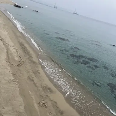 Profile image of ㅇㅅㅎ