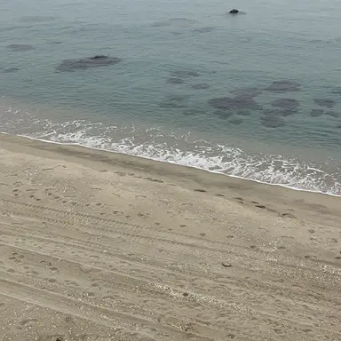 Profile image of ㅎㄷㅁ