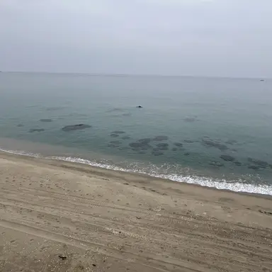 Profile image of ㄱㄷㅎ