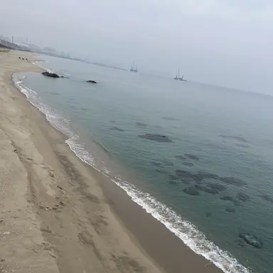 Profile image of ㅁㅈㅎ