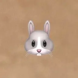 Profile image of ㅈ원영