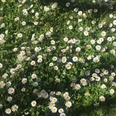 Profile image of たぷ