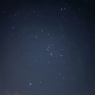 Profile image of 재.현