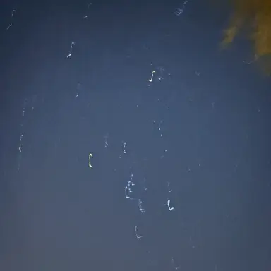 Profile image of 도아