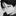 八乙女　蓮