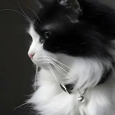 Profile image of 실버