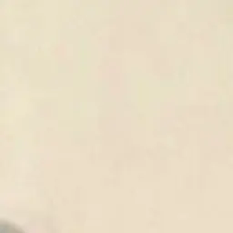 Profile image of 석유진