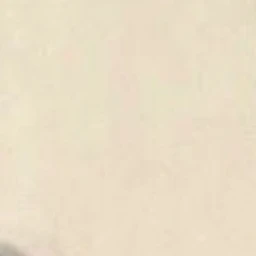 석유진