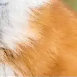 Profile image of 2Puser