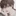 이도현
