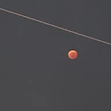 Profile image of 존 왓슨