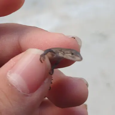 Profile image of 훈석