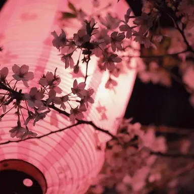 Profile image of 赤城ウェン