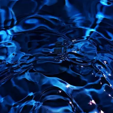 Profile image of 사샤