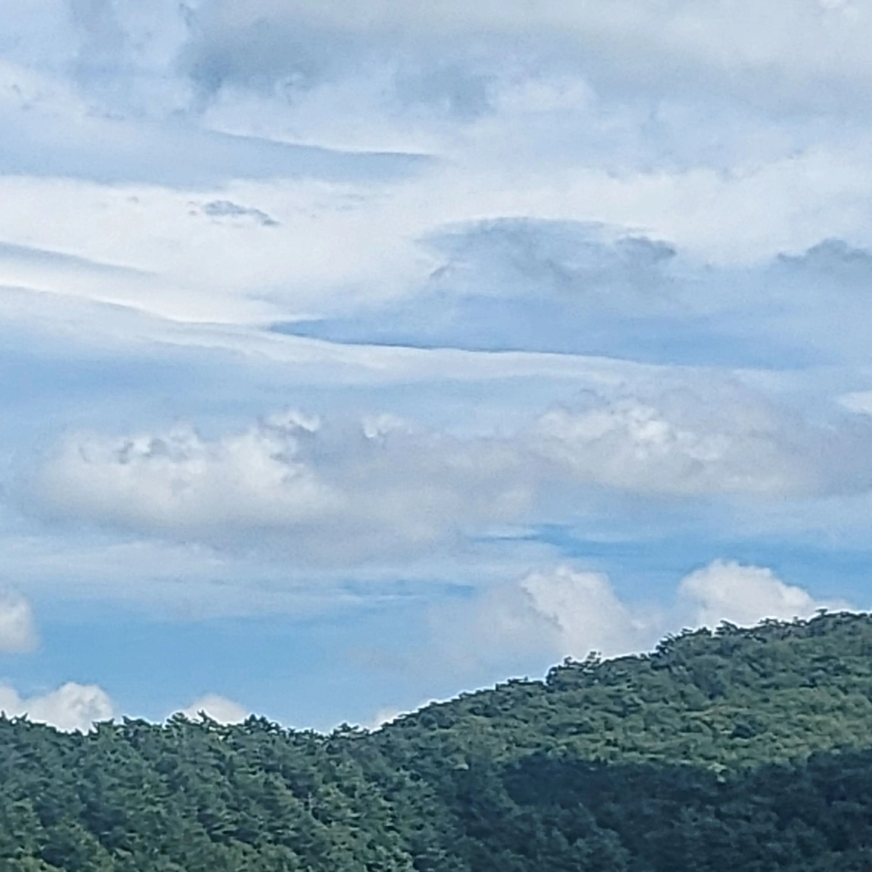 FestalKoala3538의 고등학교