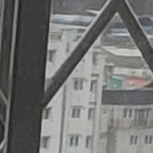 광신도들