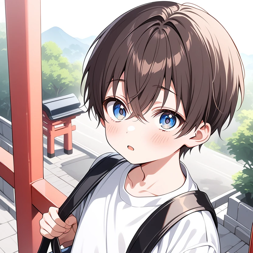 葵