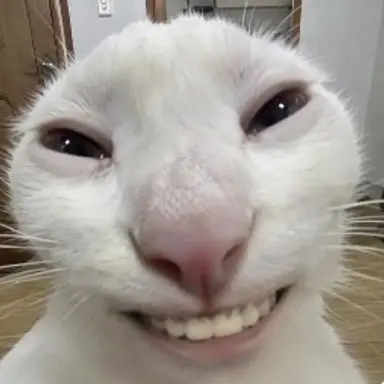 Profile image of 여우