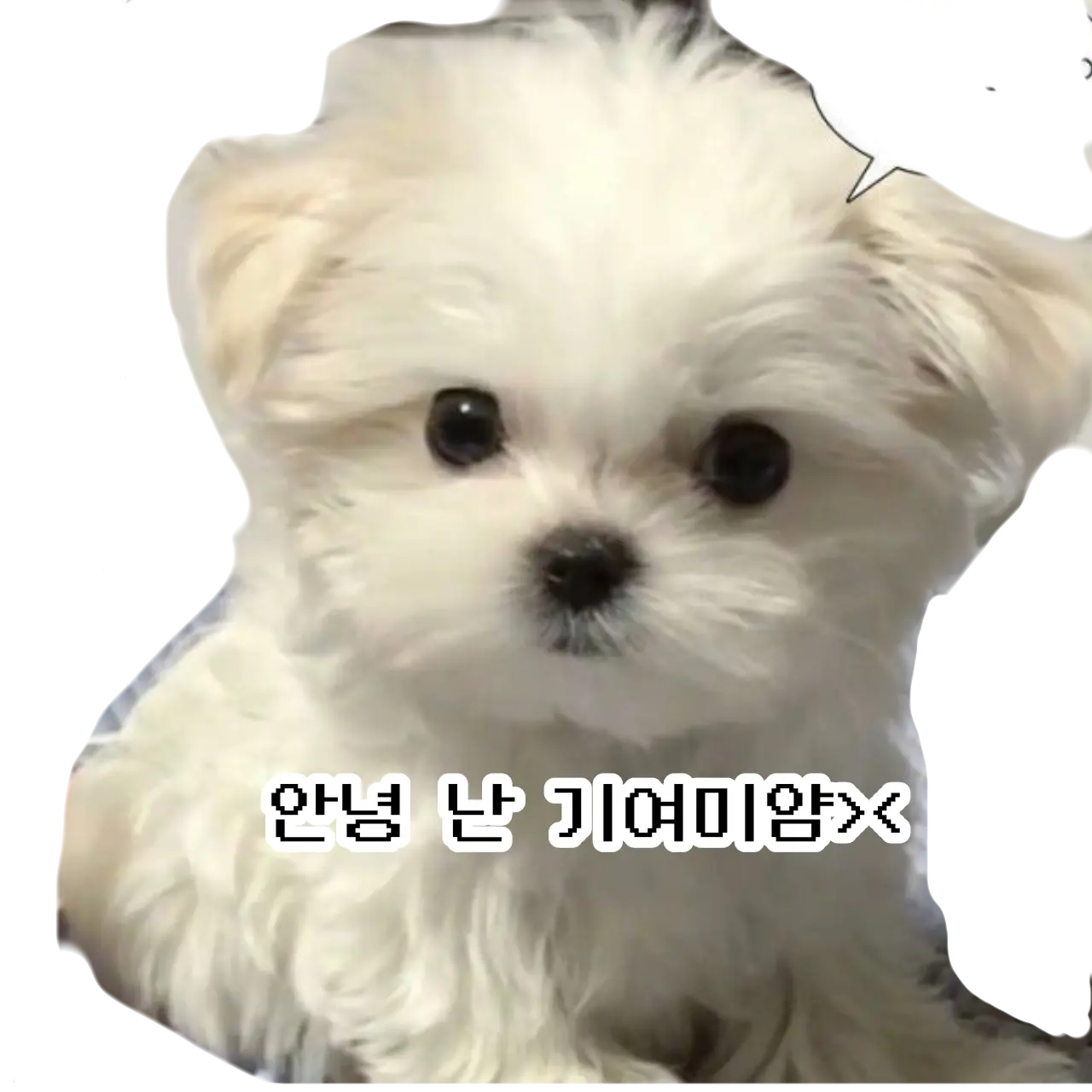 WeakDoor3542의 🚨(쿠킹덤)좀비사태🚨