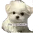좀비