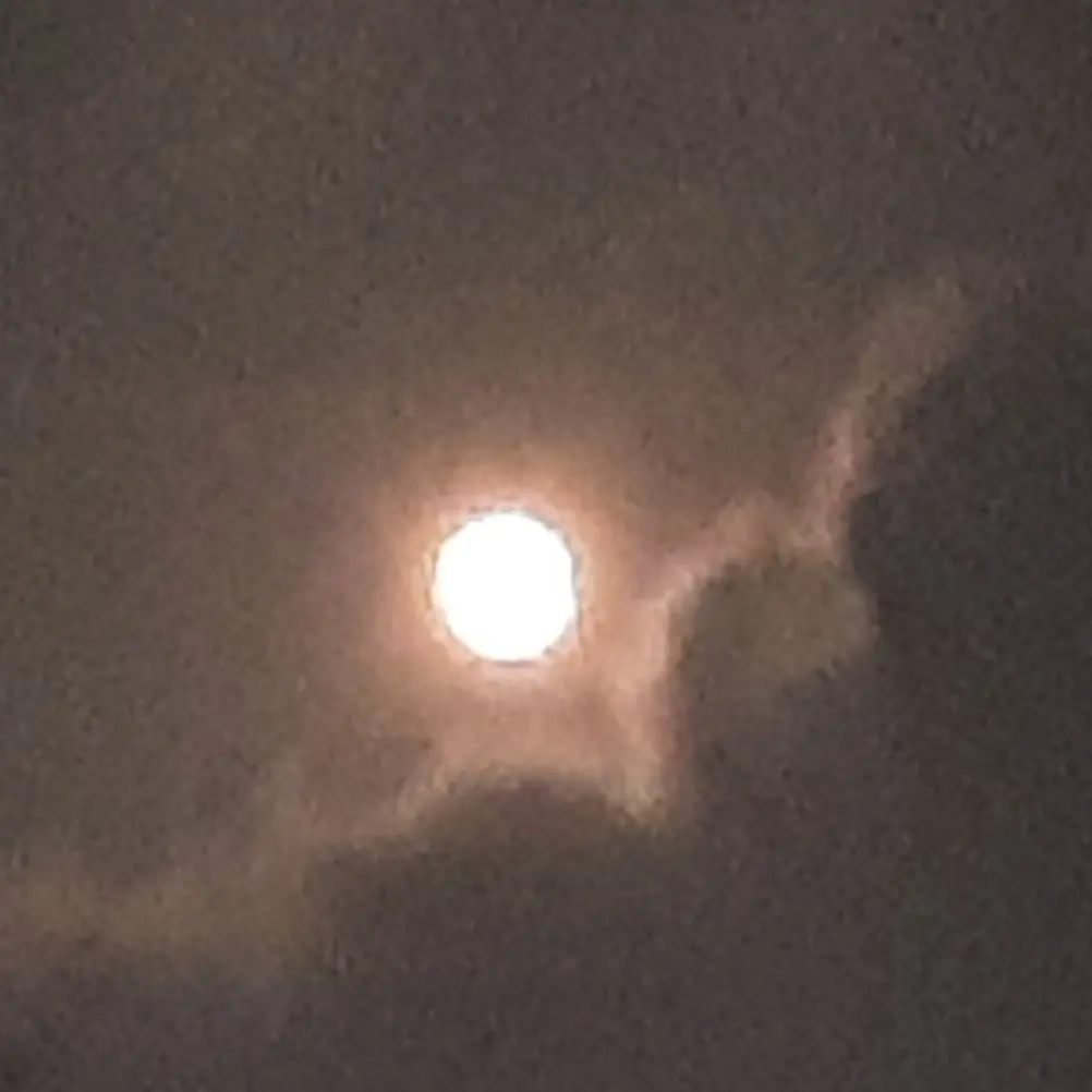 Monsis의 당신을 보호해주는 오빠들