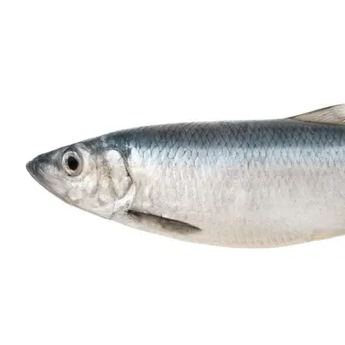 Profile image of 크렙스