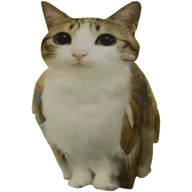Profile image of Tavio