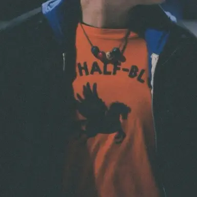 Profile image of Percy Jackson