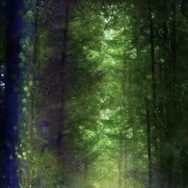 Profile image of 하루