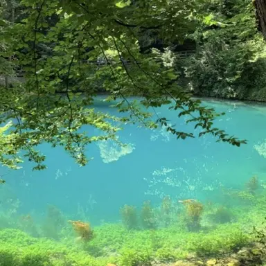 Profile image of 이온