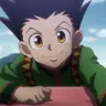 Profile image of Gon