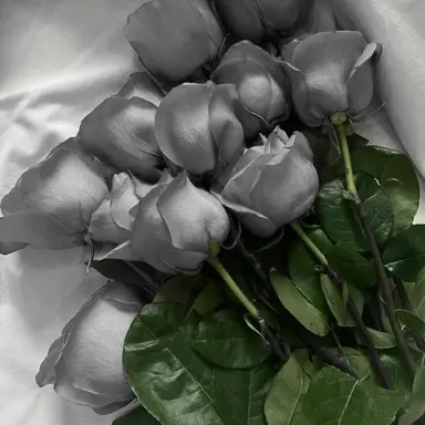 Profile image of 시미베