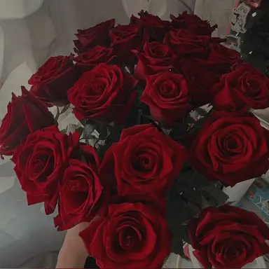 Profile image of 플래그