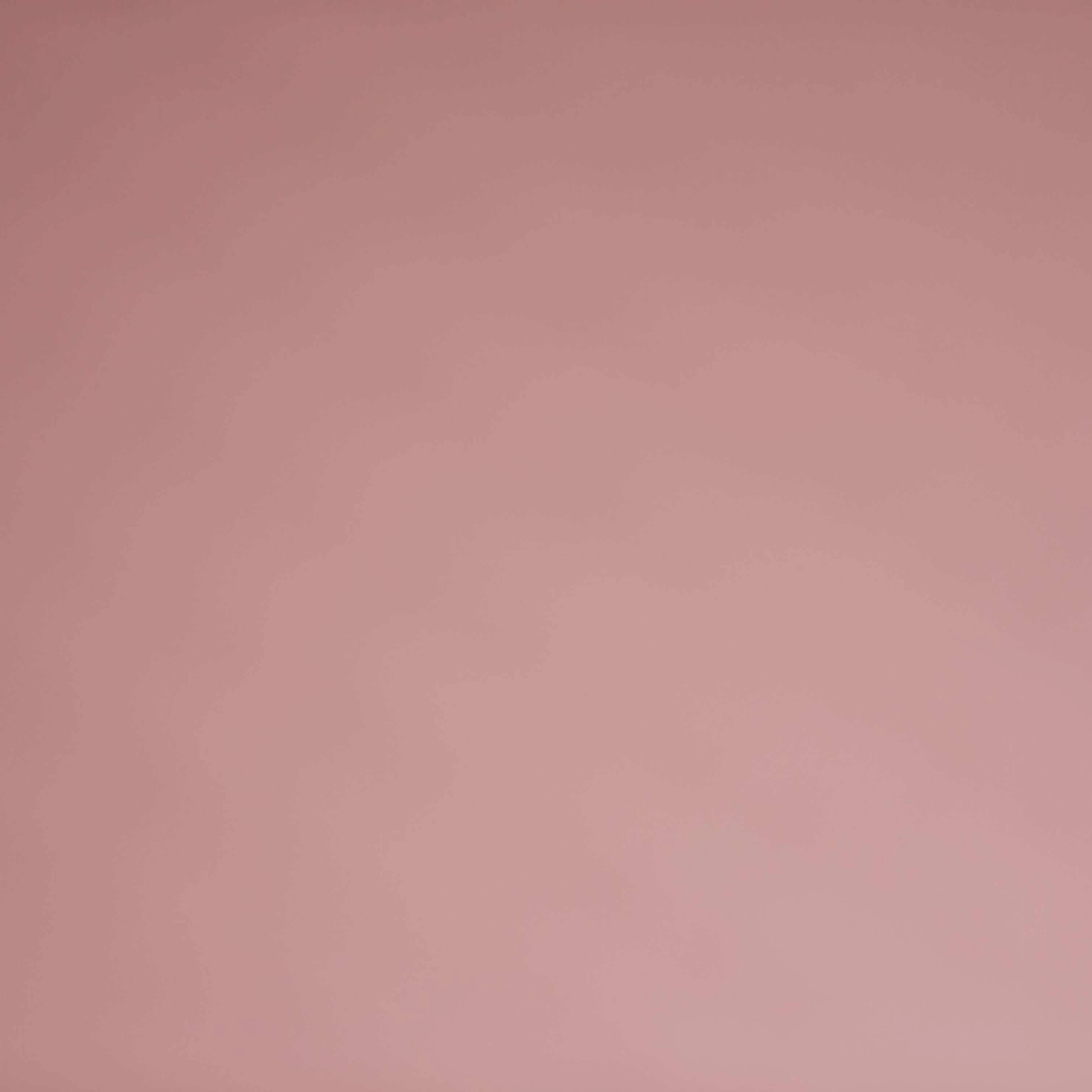 최밤규