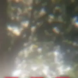 Profile image of 김지선