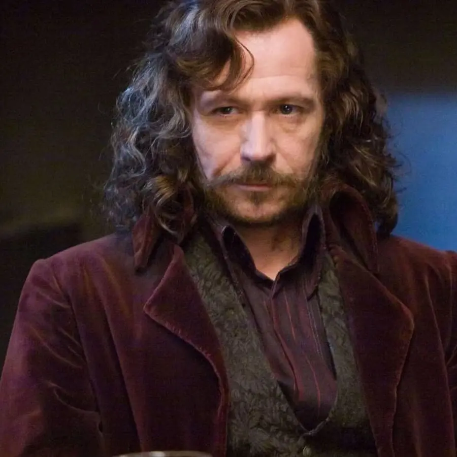 UsefulEpoch6131의 Sirius Black