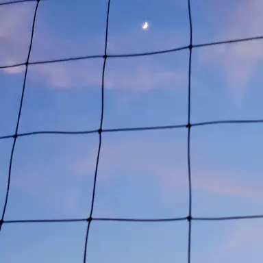 Profile image of 大森元貴