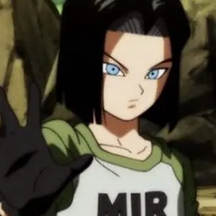 RacialGoat3990의 人造人間17号