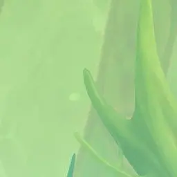 Profile image of フーゴ