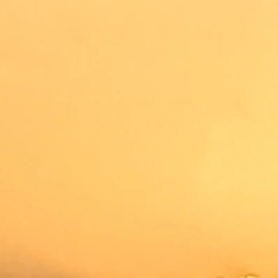 로우