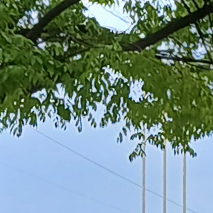 외출금지[BL] 대표 이미지