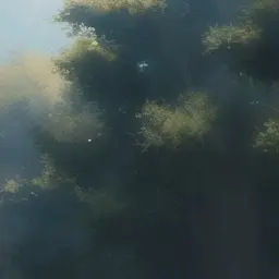 Profile image of 流星