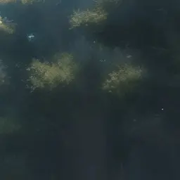 Profile image of 謙杜