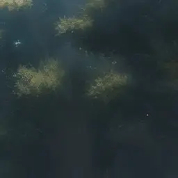 Profile image of 和也