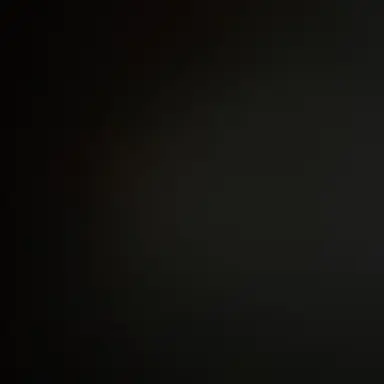 Profile image of 최범규