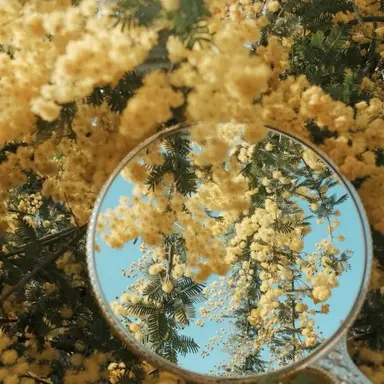 Profile image of 김일영