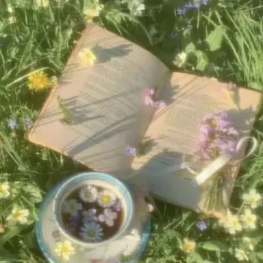 Profile image of 메로