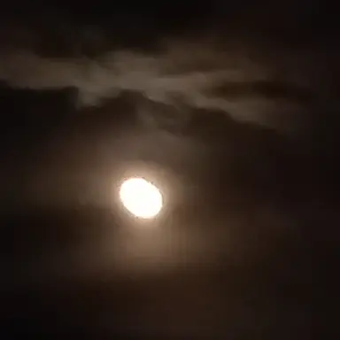 Profile image of 수민