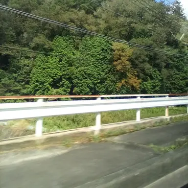 Profile image of 元貴