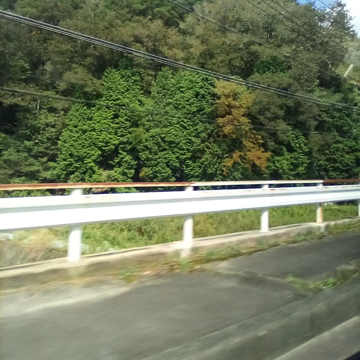 ThickRack6347의 大森元貴と付き合った日。